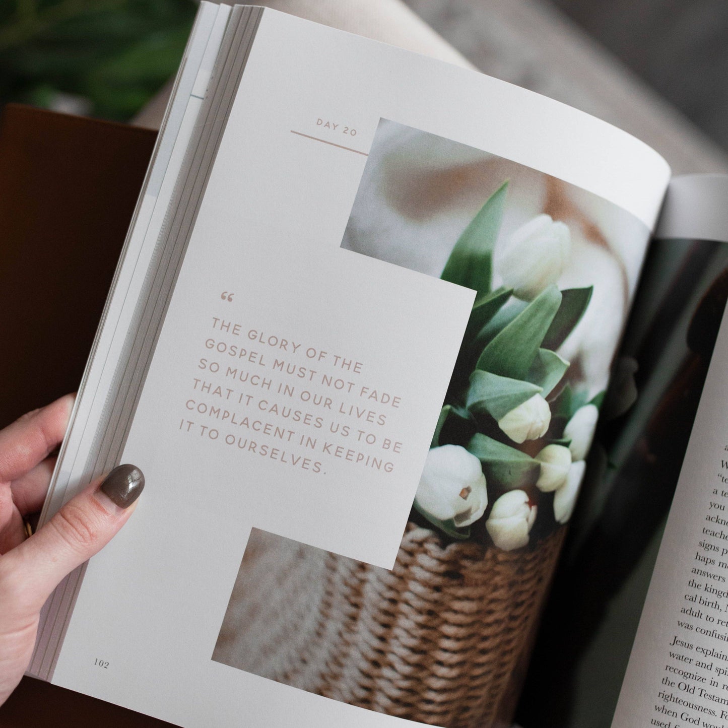 40 Days with Jesus Bible Study