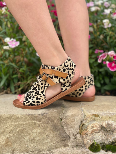 Lucy Leopard Sandal - Blowfish Kid's